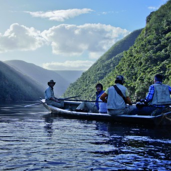 The Dinosaur Project Poster