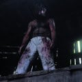 Wer, Werwolf, Found Footage