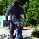 Bigfoot Tapes aka Bigfoot County Szenenbild