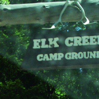 The Bigfoot Tapes - Poster