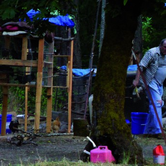 The Bigfoot Tapes - Poster