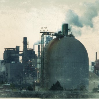 The Bay - Nach Angst kommt Panik - Blu-ray Cover