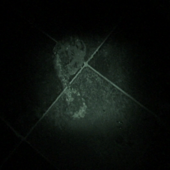 Die Präsenz Plakat Oktober