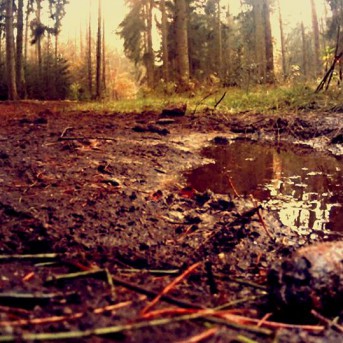 Timo Roses Nature - Szenenbild