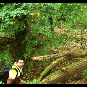 RAW 3: Die Offenbarung der Grete Müller DVD Cover