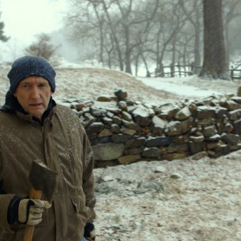 The Visit - Deutsches Poster