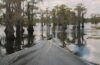 Caddo Lake