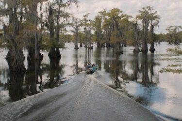Caddo Lake