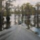 Caddo Lake