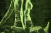 REC 4 (2014)